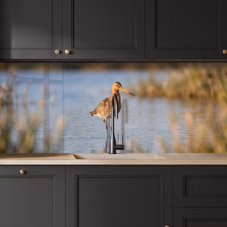 Vogel - Steltloper - Water - Natuur keuken achterwand 2 middel -sfeer1