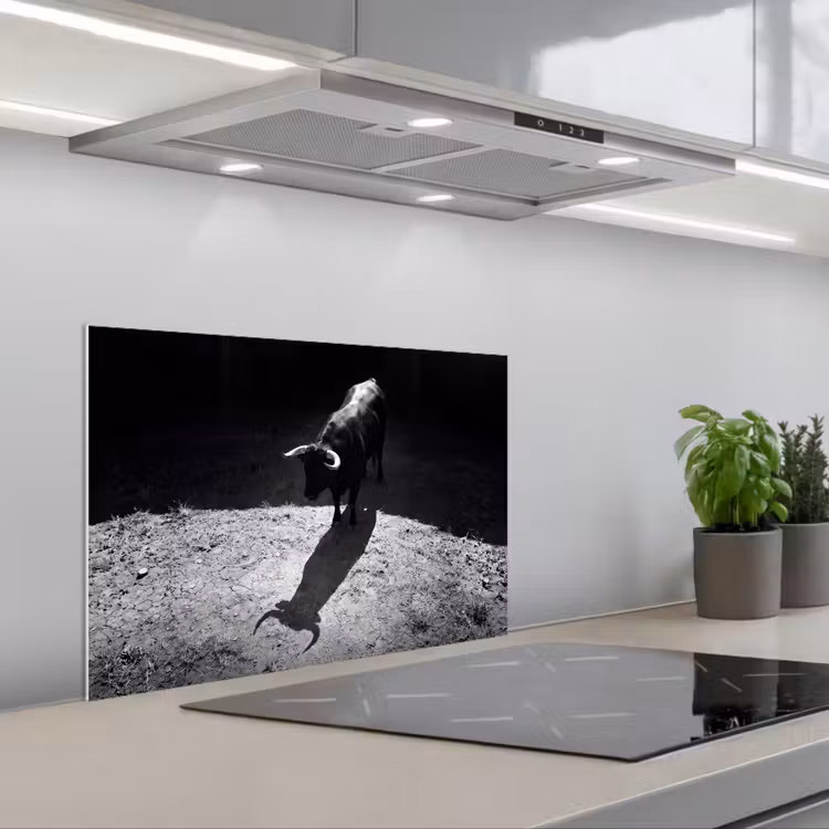 Stier - Schaduw - Dieren - Contrast - Zwart-wit keuken achterwand spatscherm klein -3d_schuin