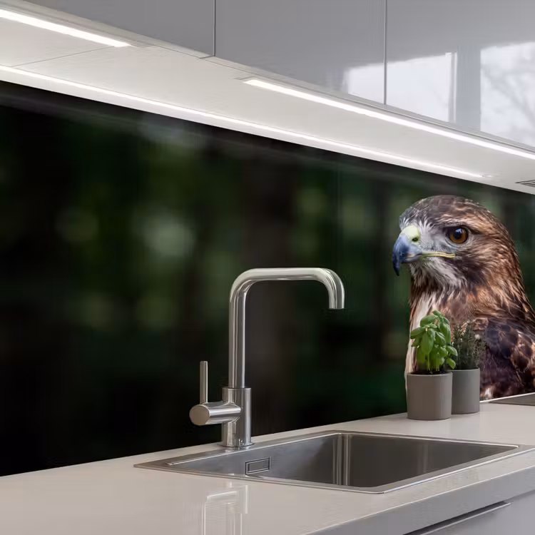 Buizerd - Roofvogel - Natuur - Bruin keuken achterwand 2 middel -3d_schuin