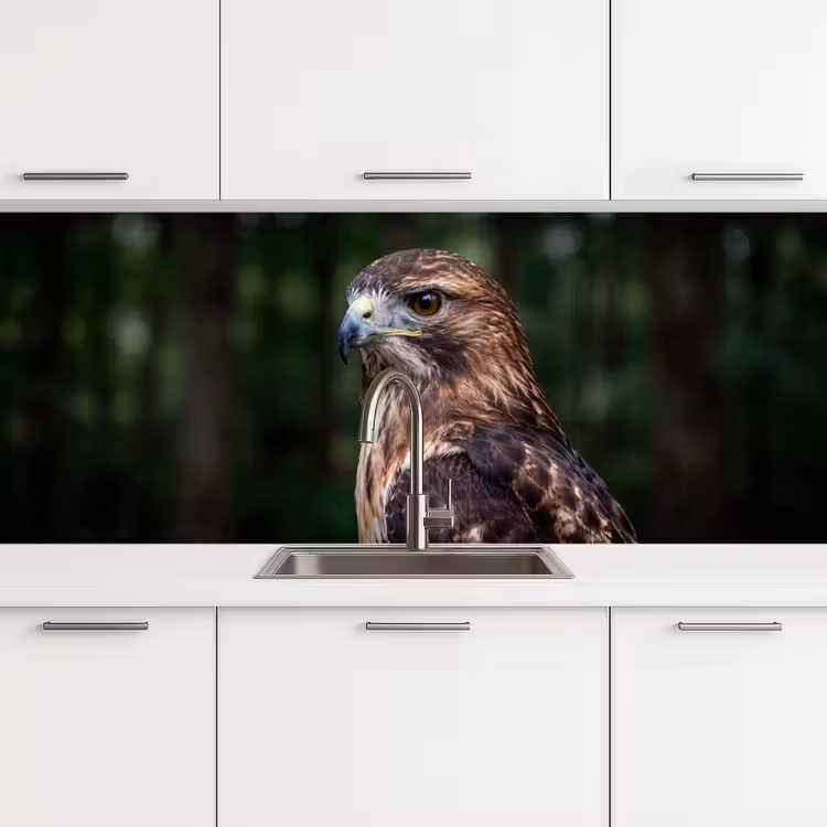 Buizerd - Roofvogel - Natuur - Bruin keuken achterwand 2 middel -3d