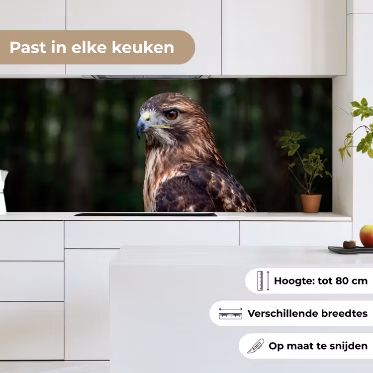 Buizerd - Roofvogel - Natuur - Bruin keuken achterwand 2 middel -sfeer4_NL