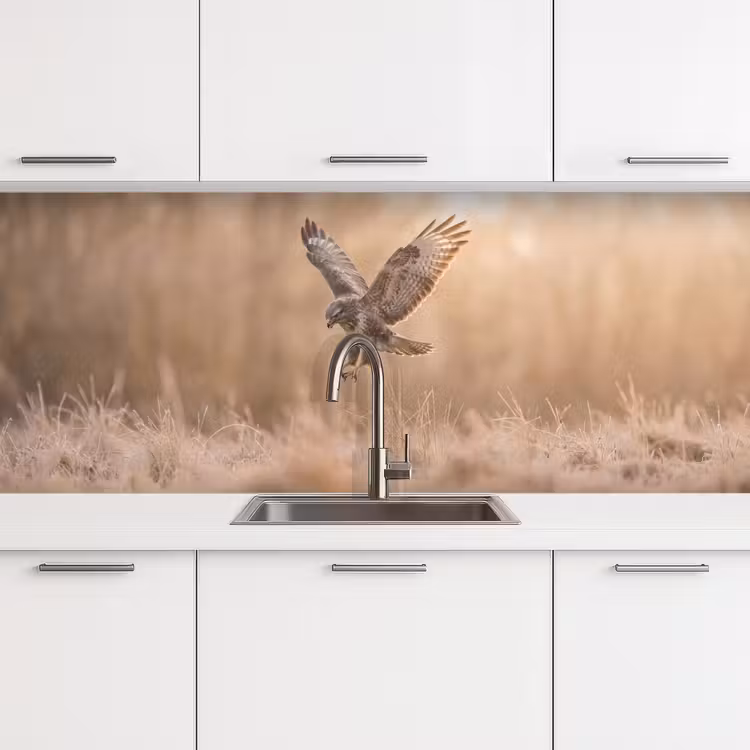 Buizerd - Roofvogel - Natuur - Bruin keuken achterwand 2 middel -3d