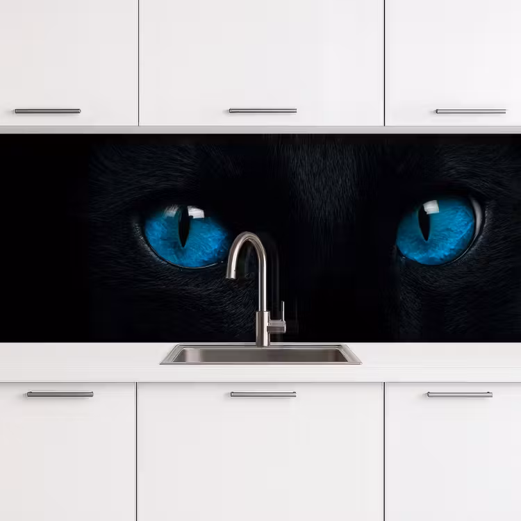 Kat - Blauw - Dier - Zwart keuken achterwand 2 middel -3d