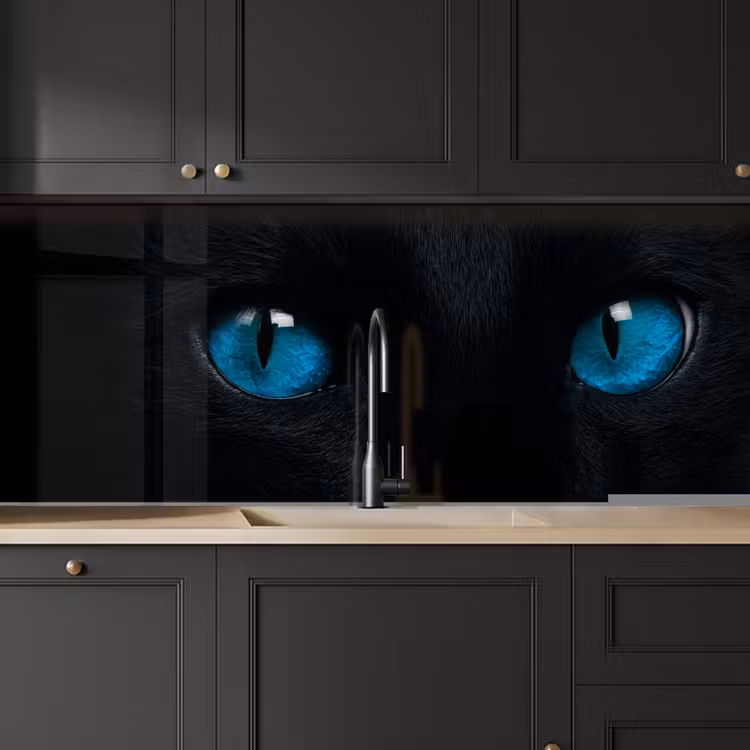 Kat - Blauw - Dier - Zwart keuken achterwand 2 middel -sfeer1