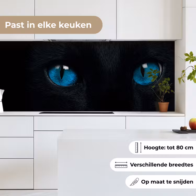 Kat - Blauw - Dier - Zwart keuken achterwand 2 middel -sfeer4_NL