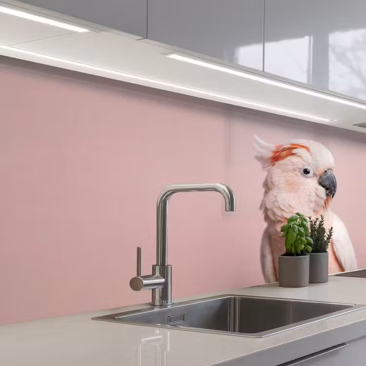 Kaketoe - Portret - Roze keuken achterwand 2 middel -3d_schuin