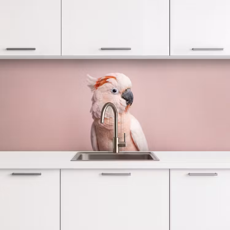 Kaketoe - Portret - Roze keuken achterwand 2 middel -3d