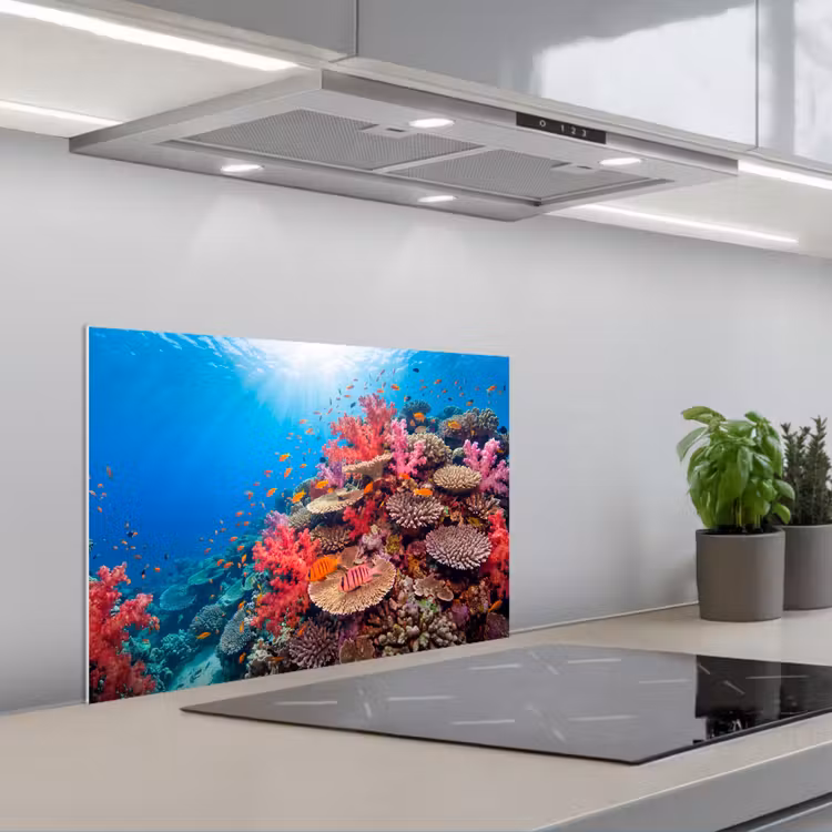 Koraalrif - Vissen - Onderwater - Tropisch - Rood keuken achterwand spatscherm klein -3d_schuin