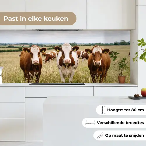 Koeien - Portret - Weide - Boerderij - Nieuwsgierig keuken achterwand 2 middel -sfeer4_NL