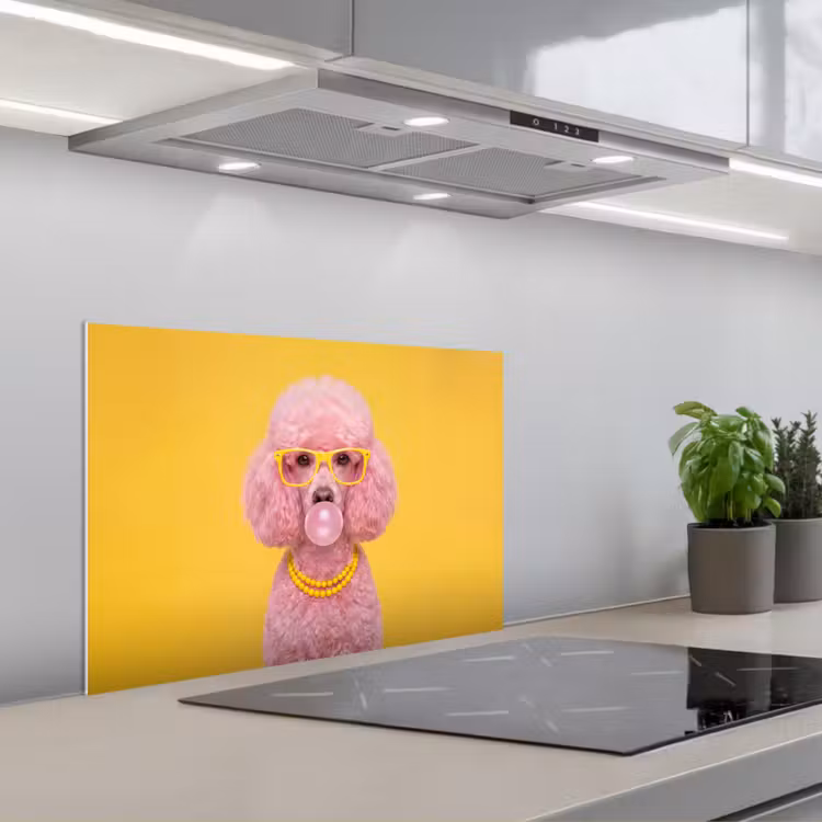 Hond - Kauwgum - Dieren - Modern - Roze keuken achterwand spatscherm klein -3d_schuin