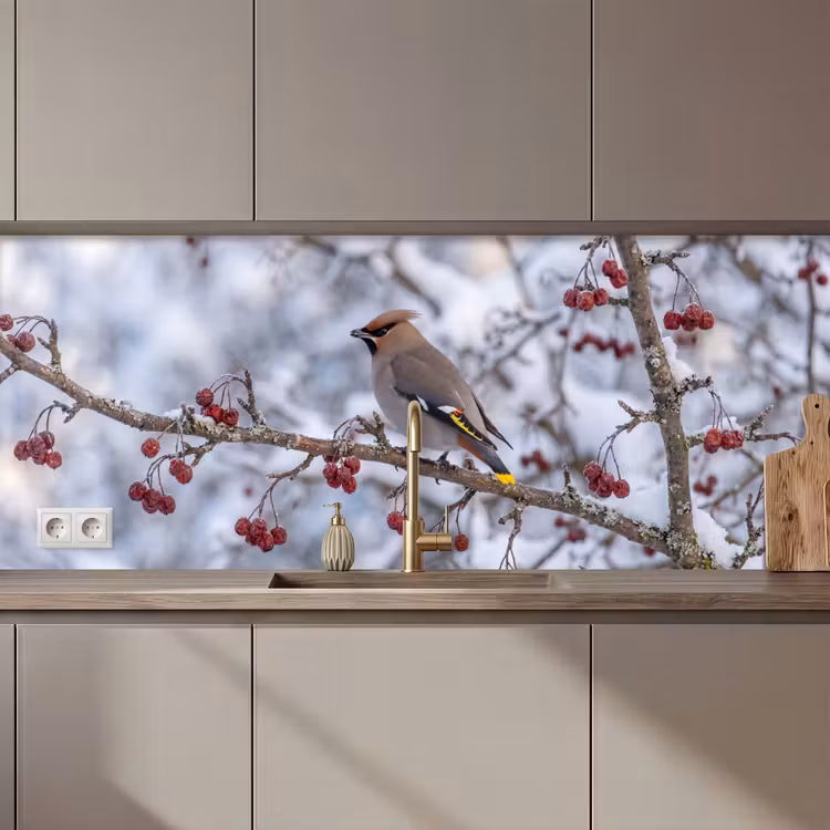 Pestvogel - Bessen - Winter - Natuur keuken achterwand 2 middel zz_3dshopping