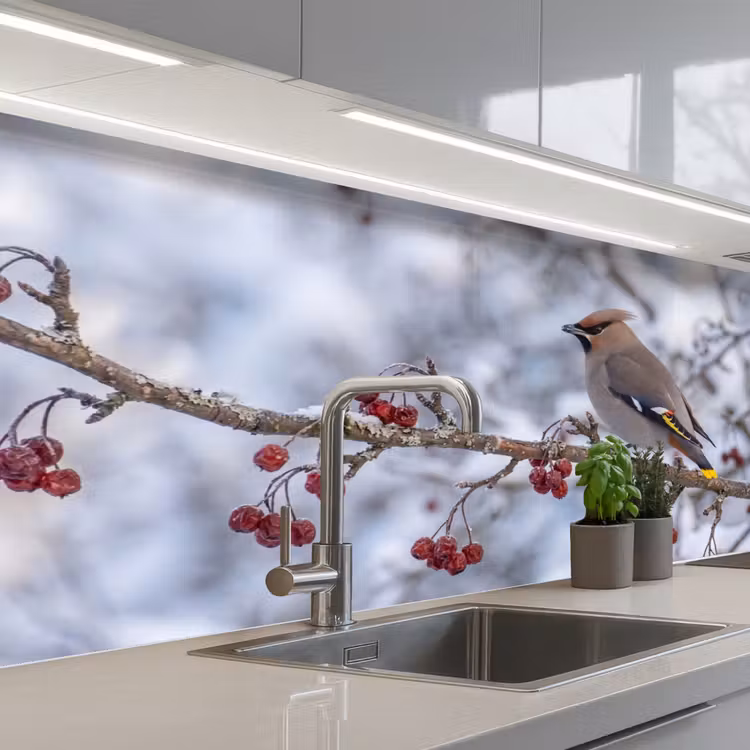 Pestvogel - Bessen - Winter - Natuur keuken achterwand 2 middel -3d_schuin