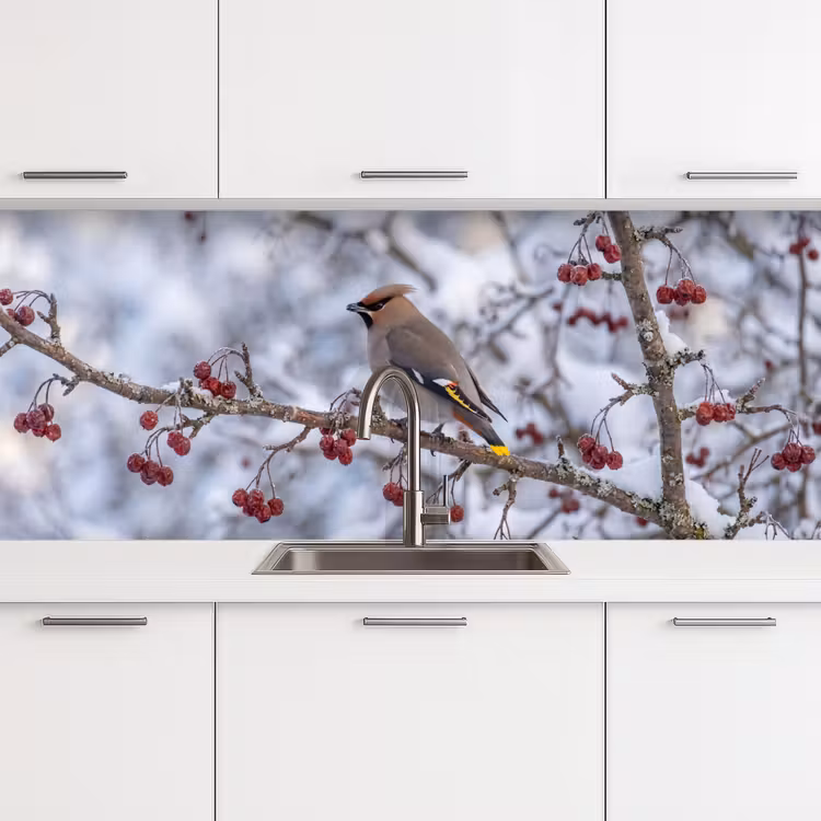 Pestvogel - Bessen - Winter - Natuur keuken achterwand 2 middel -3d