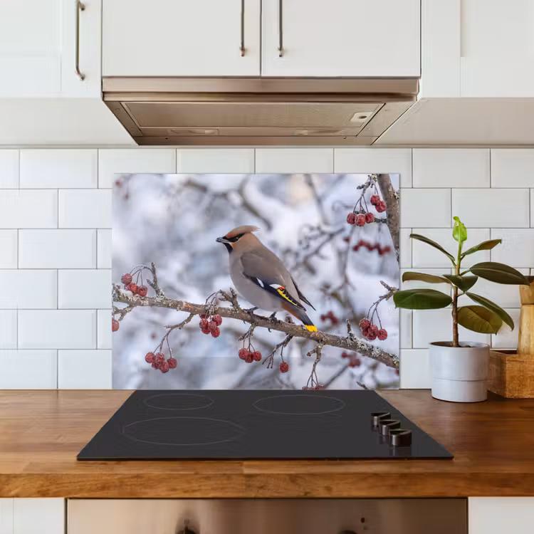 Pestvogel - Bessen - Winter - Natuur keuken achterwand 2 middel -sfeer4_NL