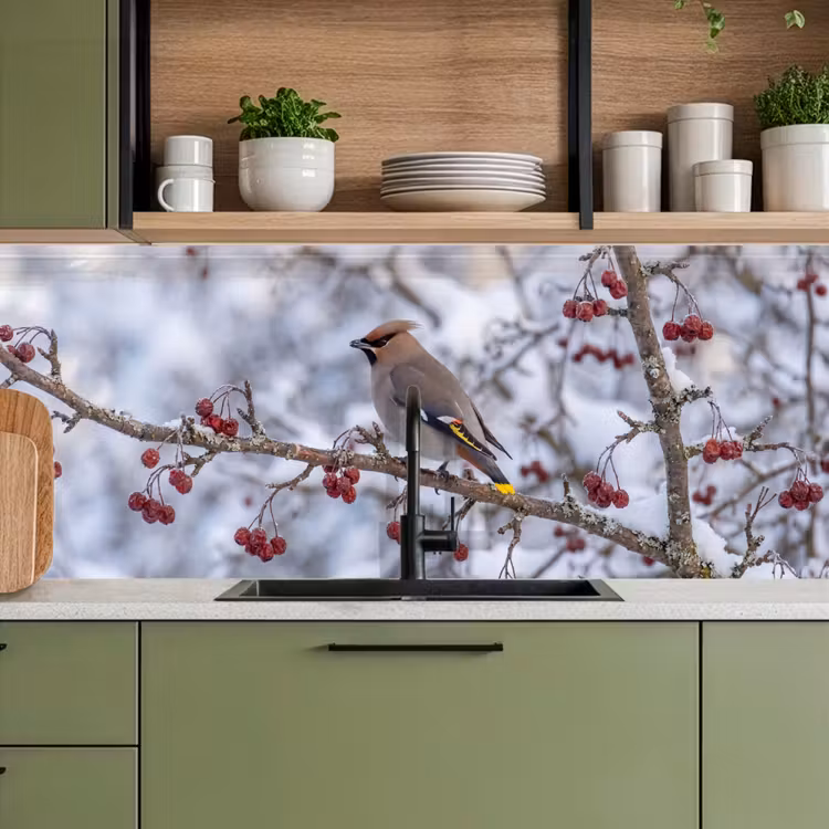 Pestvogel - Bessen - Winter - Natuur keuken achterwand 2 middel -sfeer3