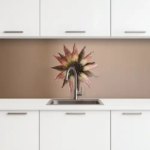 Droogbloem - Protea - Vintage - Beige - Rustiek keuken achterwand 2 middel -3d