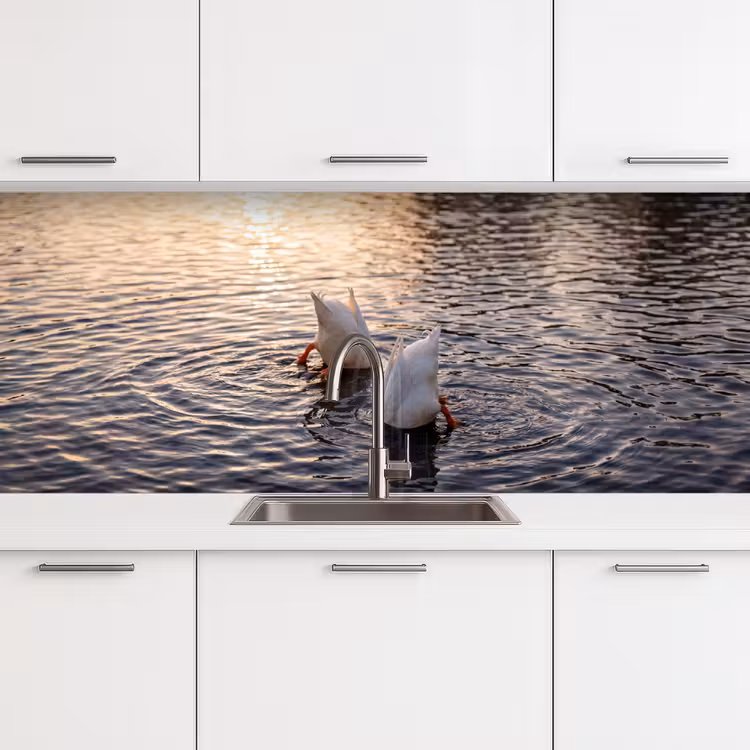 Eenden - Water - Natuur keuken achterwand 2 middel -3d