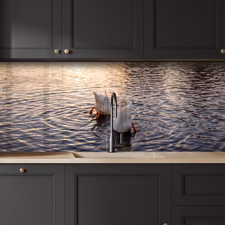 Eenden - Water - Natuur keuken achterwand 2 middel -sfeer1
