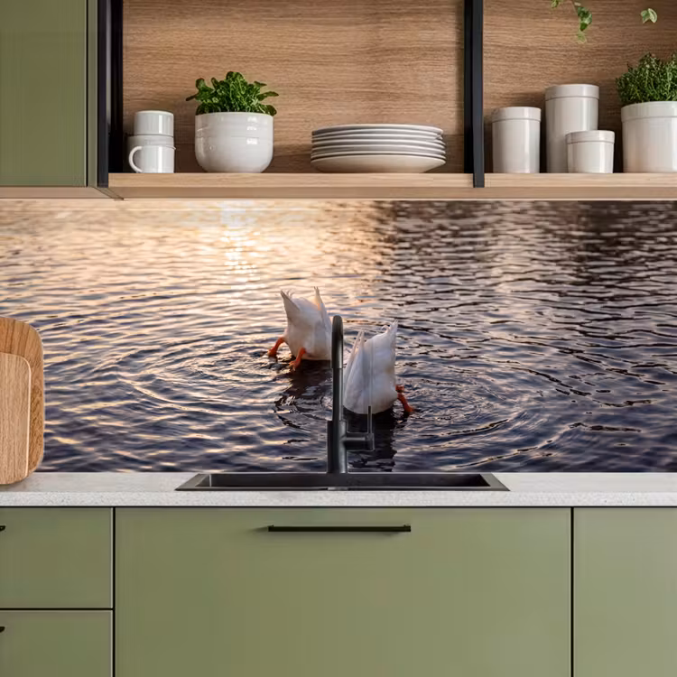 Eenden - Water - Natuur keuken achterwand 2 middel -sfeer3