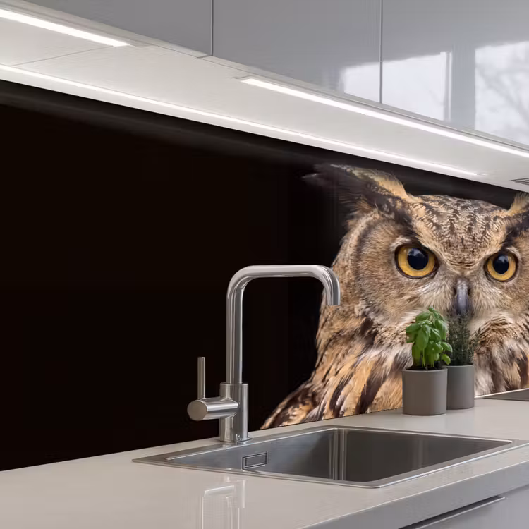 Oehoe - Uil - Portret - Bruin keuken achterwand 2 middel -3d_schuin