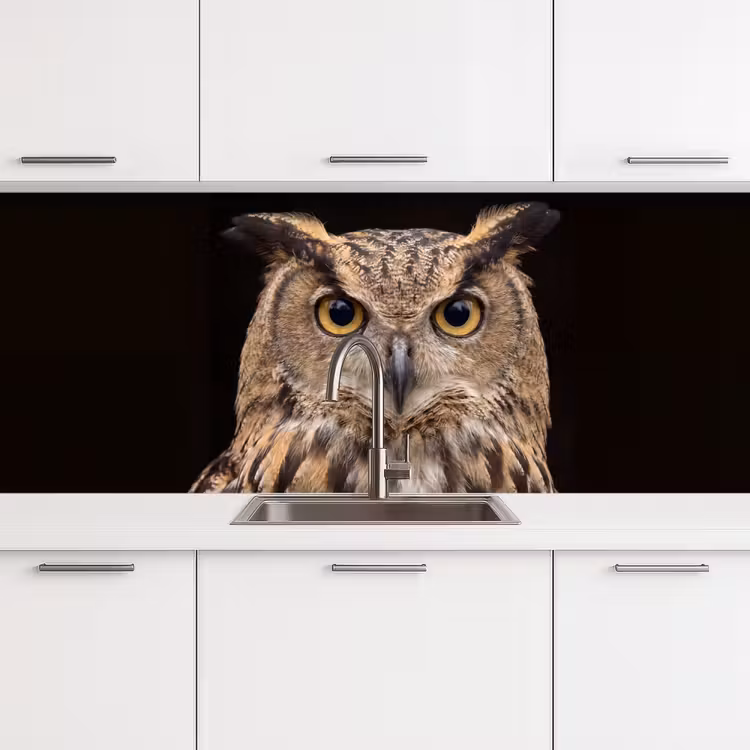 Oehoe - Uil - Portret - Bruin keuken achterwand 2 middel -3d