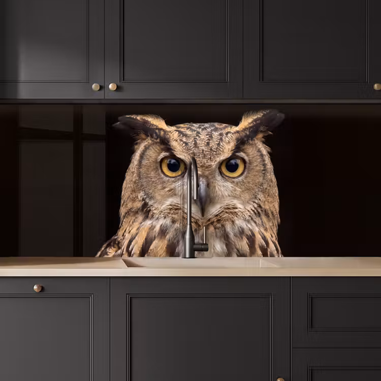 Oehoe - Uil - Portret - Bruin keuken achterwand 2 middel -sfeer1