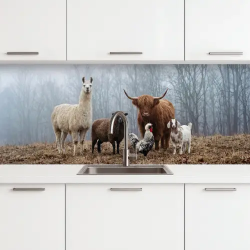 Boerderijdieren - Groep - Mist - Natuur - Rustiek keuken achterwand 2 middel -3d
