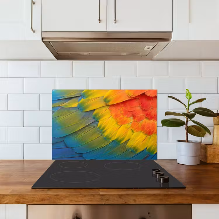 Veren - Ara - Kleurrijk keuken achterwand 2 middel -sfeer1