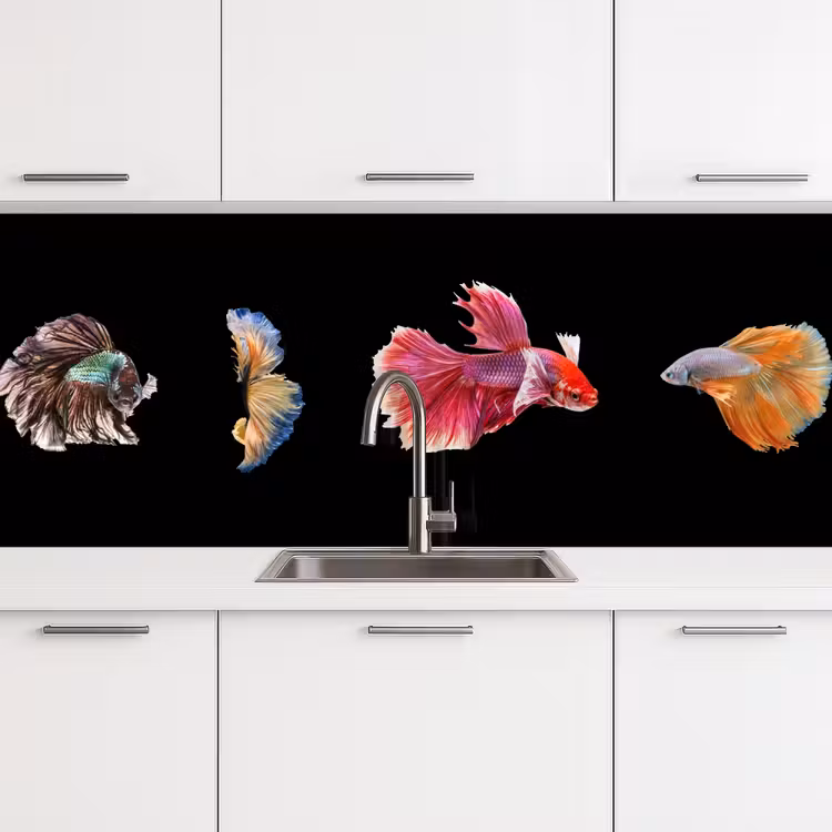 Vissen - Kleurrijk - Dieren keuken achterwand 2 middel -3d
