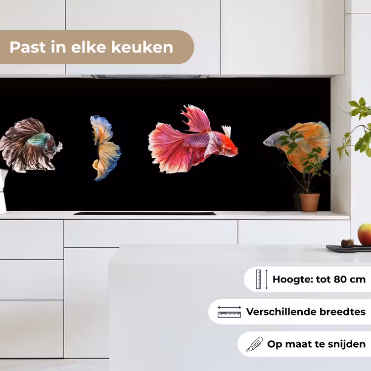 Vissen - Kleurrijk - Dieren keuken achterwand 2 middel -sfeer4_NL