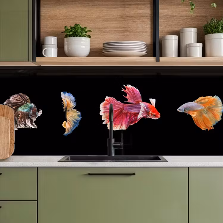 Vissen - Kleurrijk - Dieren keuken achterwand 2 middel -sfeer3