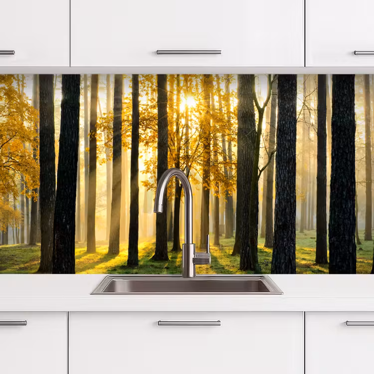 Bos - Zon - Bomen - Gras - Landschap  - Natuur keuken achterwand sample klein -zzzz3d_schuin