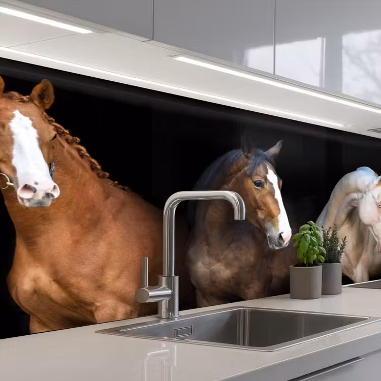 Paard - Dieren - Zwart keuken achterwand 2 middel -3d_schuin