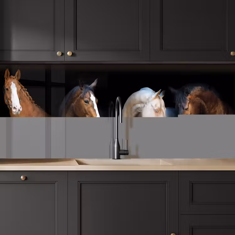 Paard - Dieren - Zwart keuken achterwand 2 middel -sfeer1