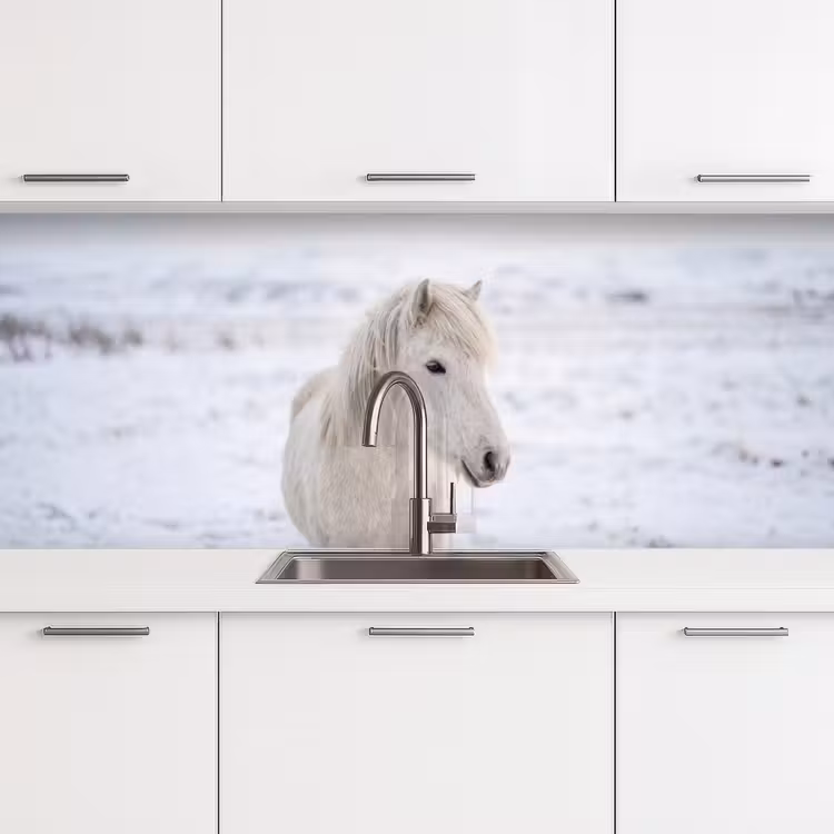 Paard - Kop - Winter - Dieren - Wit keuken achterwand 2 middel -3d