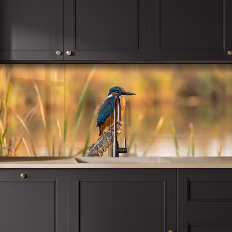 IJsvogel - Tak - Water - Kleurrijk - Levendig keuken achterwand 2 middel -sfeer1