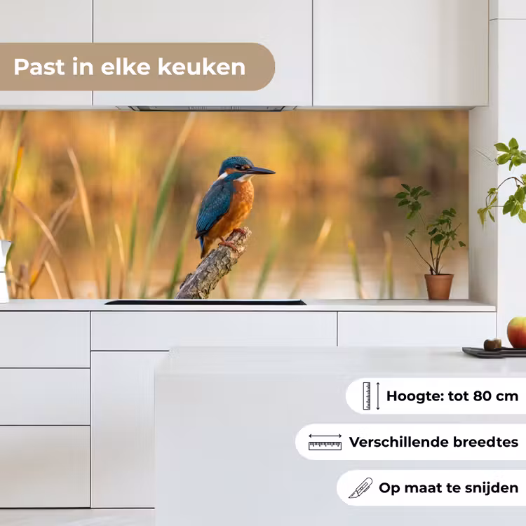 IJsvogel - Tak - Water - Kleurrijk - Levendig keuken achterwand 2 middel -sfeer4_NL