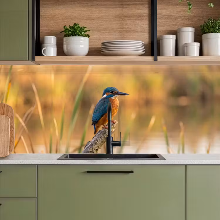 IJsvogel - Tak - Water - Kleurrijk - Levendig keuken achterwand 2 middel -sfeer3