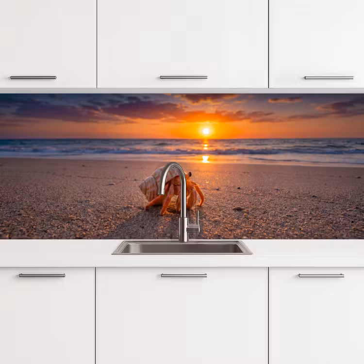 Kreeft - Strand - Natuur - Zonsondergang - Oranje keuken achterwand 2 middel -3d
