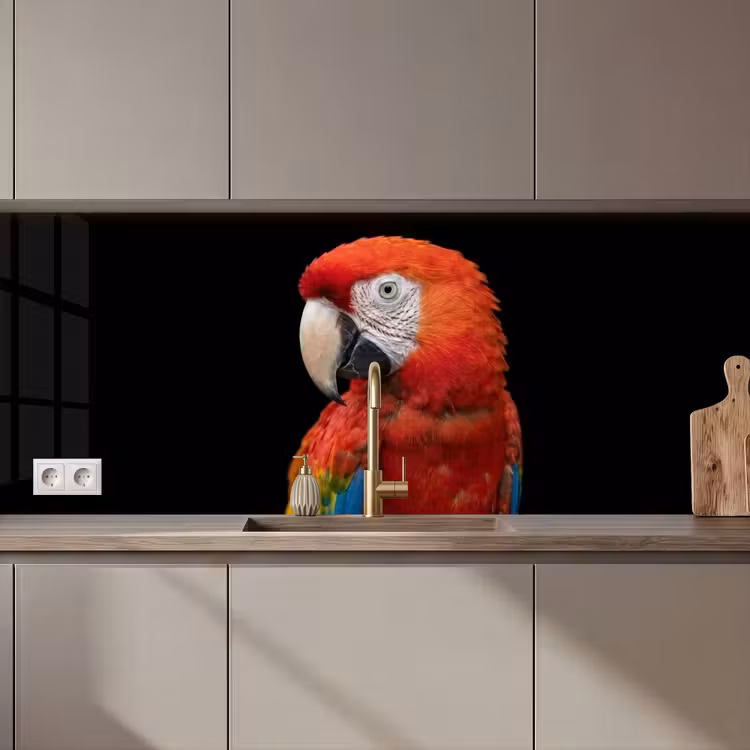 Ara - Portret - Rood keuken achterwand 2 middel zz_3dshopping