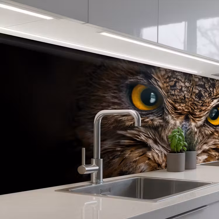 Uil - Dier - Oranje keuken achterwand 2 middel -3d_schuin