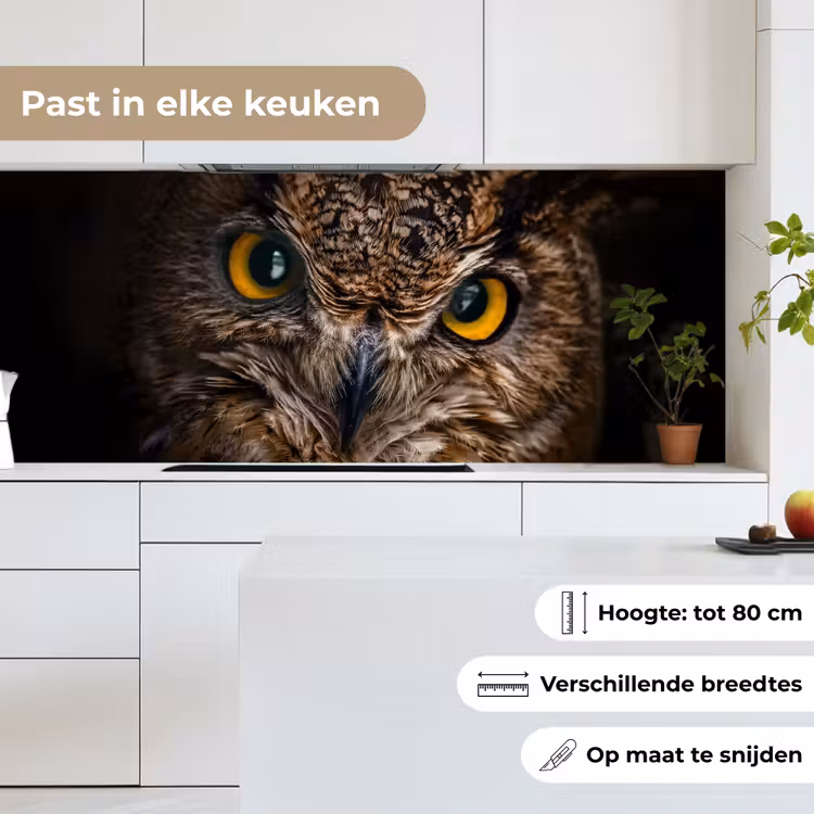 Uil - Dier - Oranje keuken achterwand 2 middel -sfeer4_NL