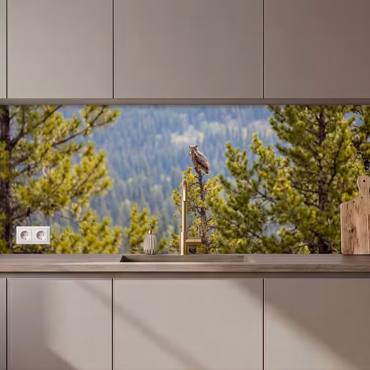 Uil - Oehoe - Bomen - Natuur keuken achterwand 2 middel zz_3dshopping