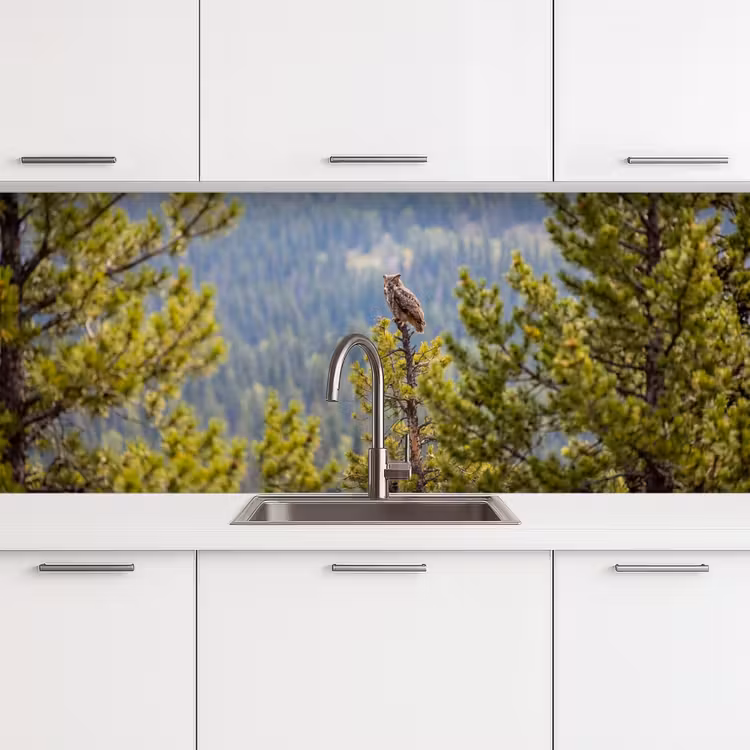 Uil - Oehoe - Bomen - Natuur keuken achterwand 2 middel -3d