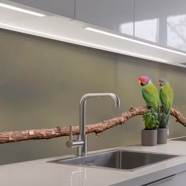 Papagaai - Tak - Natuur - Kleurrijk keuken achterwand 2 middel -3d_schuin
