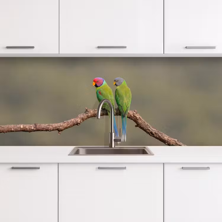 Papagaai - Tak - Natuur - Kleurrijk keuken achterwand 2 middel -3d