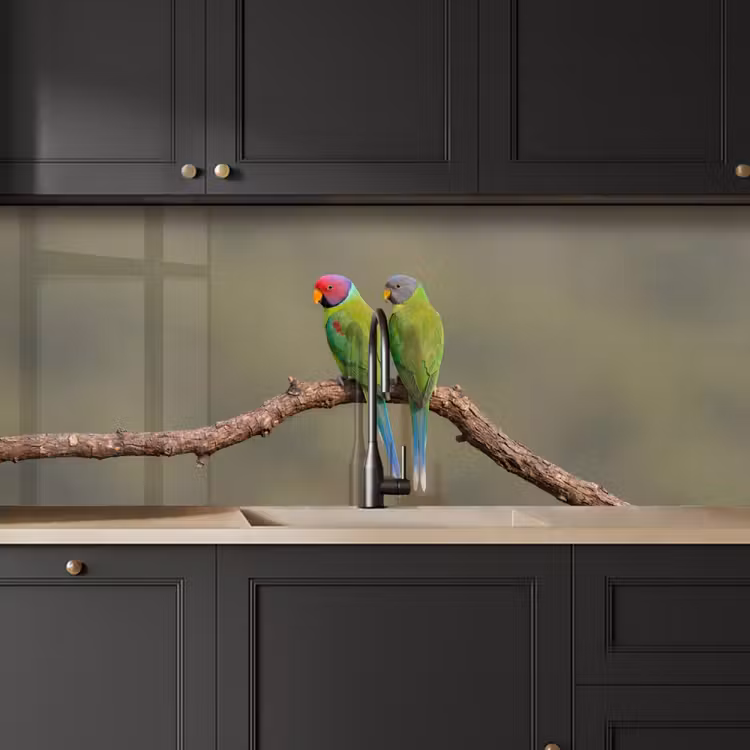 Papagaai - Tak - Natuur - Kleurrijk keuken achterwand 2 middel -sfeer1