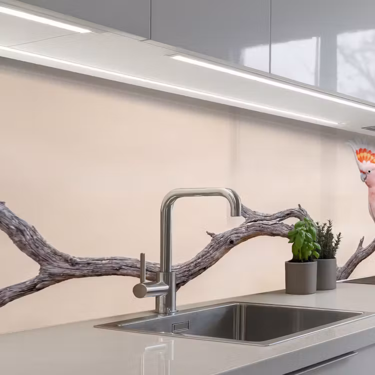 Papagaai - Tak - Roze keuken achterwand 2 middel -3d_schuin