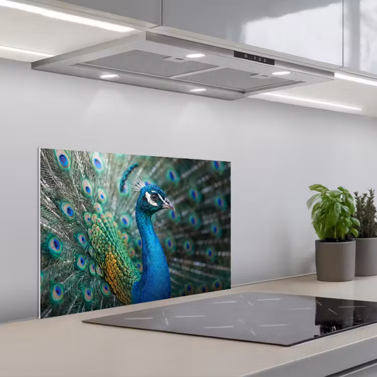 Pauw - Veren - Blauw keuken achterwand 2 middel -3d