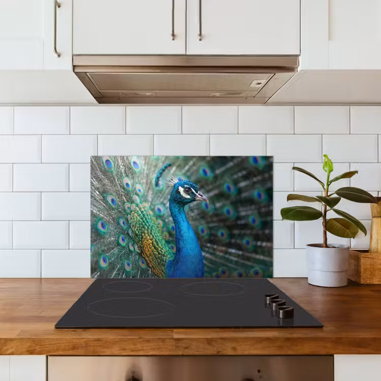 Pauw - Veren - Blauw keuken achterwand 2 middel -sfeer1